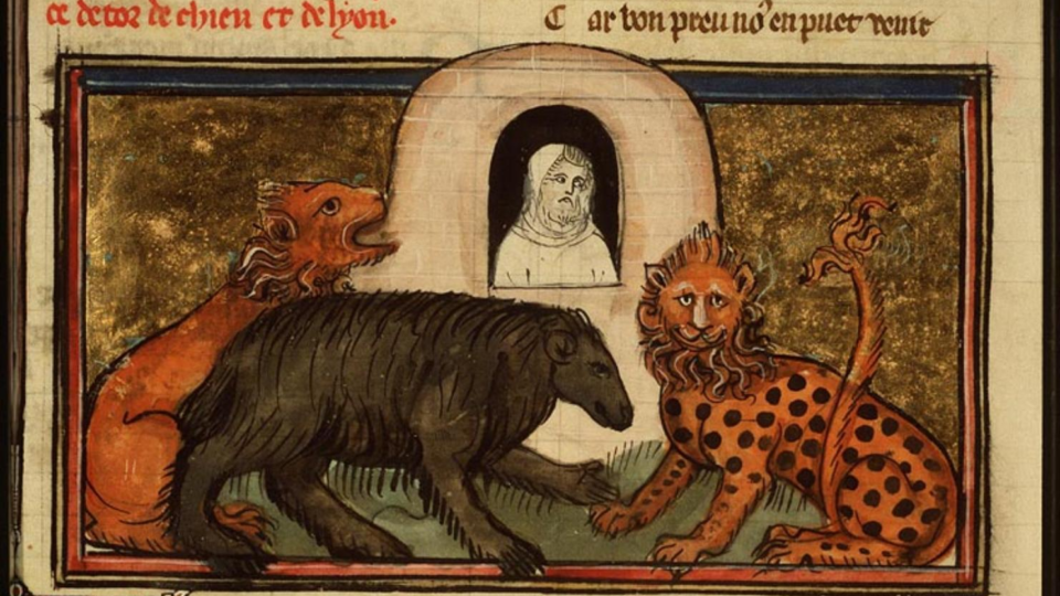Wilde dieren aan het hof Wilde dieren aan het hof