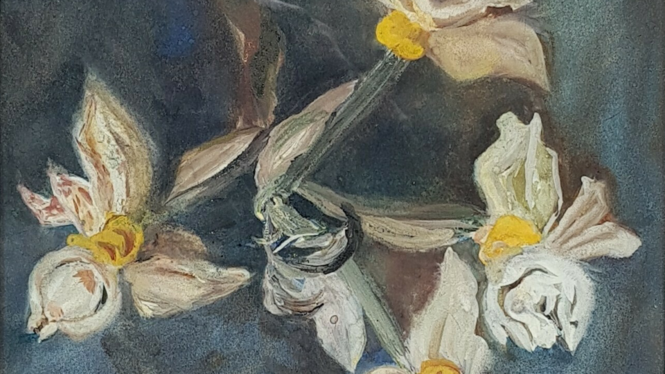 Onderwijs, kunst en wetenschap Onderwijs, kunst en wetenschap
