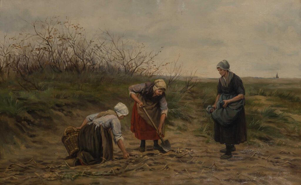 Drie vrouwen in eenvoudige boerenkleding zijn bezig met oogsten van knollen of aardappelen. Een steekt een schep in de grond, een ander raapt en de derde bewaart de oogst in haar schort.