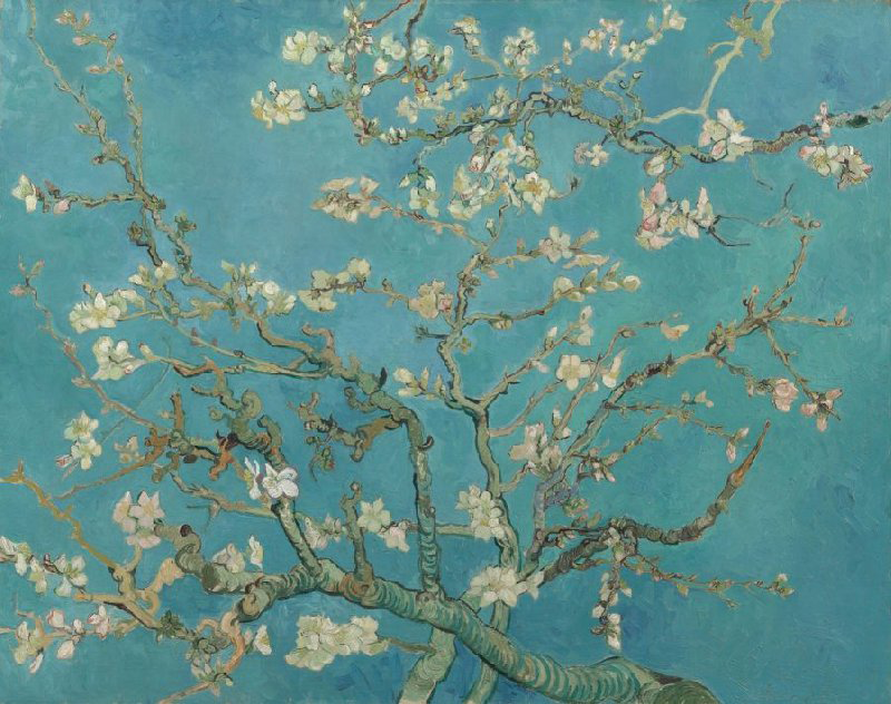 Schilderij in liggend formaat van een bloeiende amandelboom tegen een achtergrond van een helblauwe hemel. 