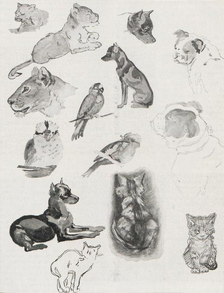 Zwart-wit foto van een blad gevuld met kleine waarschijnlijk gekleurde tekeningen van verschillende hele en gedeeltelijke dieren waaronder de kop van een leeuwin, twee keer een welp, Dobermanns, bulldogs, poezen, parkieten en andere vogels